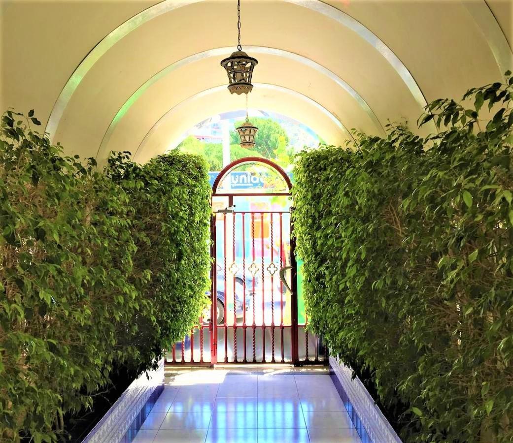 Edificio Cadiz Benidorm Appartement Buitenkant foto